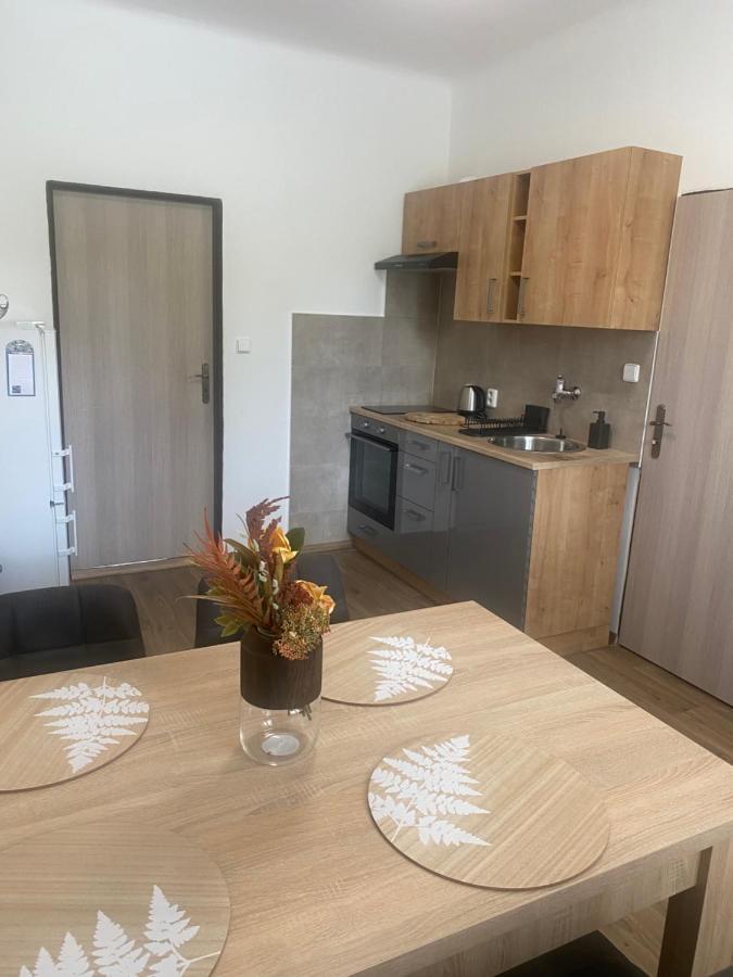 Cerna Ruze - Apartman 3 เปิลเซน ภายนอก รูปภาพ